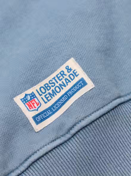 Carolina Panthers L&L '96 Classics NFL Crewneck Sweater Blue view 4
