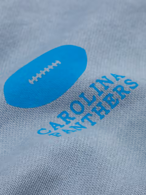 Carolina Panthers L&L '96 Classics NFL Crewneck Sweater Blue view 3