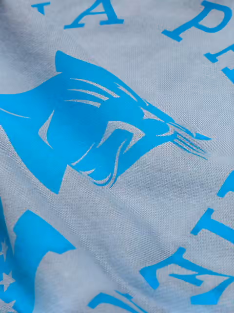 Carolina Panthers L&L '96 Classics NFL Crewneck Sweater Blue view 5
