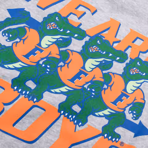 Florida Gators We Are Gator Boys Crew Sweatshirt Gray view 5