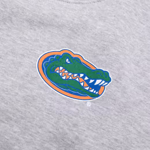 Florida Gators We Are Gator Boys Crew Sweatshirt Gray view 4