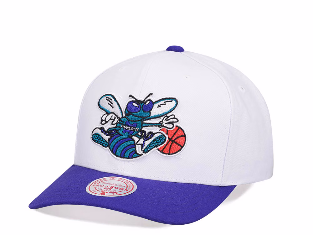 Mitchell & Ness Charlotte Hornets Team Two Tone 2.0 Pro Snapback Hat front