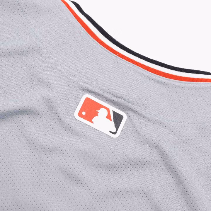 Washington Nationals Nike Limited MLB Baseball Jersey Road Gray view 6