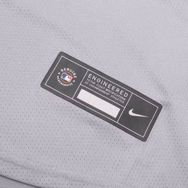 Washington Nationals Nike Limited MLB Baseball Jersey Road Gray view 5