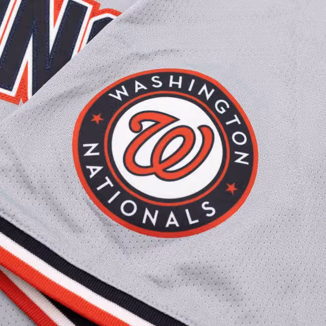 Washington Nationals Nike Limited MLB Baseball Jersey Road Gray view 4
