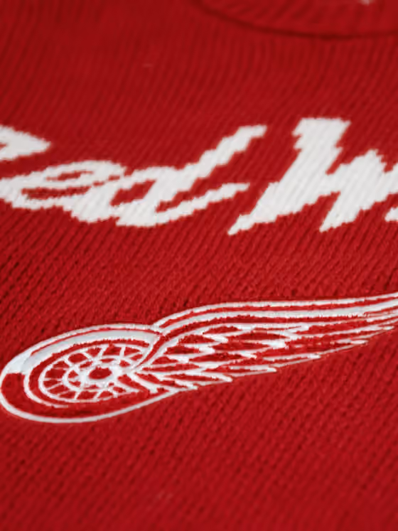 Detroit Red Wings NHL Head Coach Sweater Red view 4