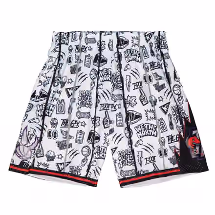 Toronto Raptors Doodle Mitchell & Ness Swingman NBA Shorts view 1