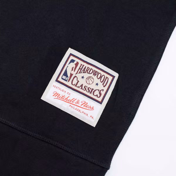 Toronto Raptors Cropped Logo Mitchell & Ness NBA Hoodie Black view 4