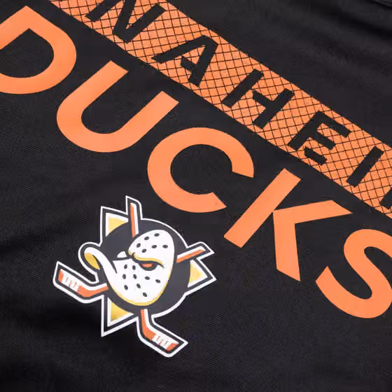 Anaheim Ducks 2024/25 Authentic Pro Rink Tech NHL Hoodie Black view 6