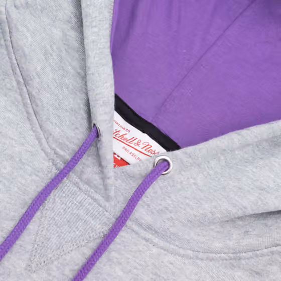 Toronto Raptors Pinnacle Mitchell & Ness NBA Heavyweight Fleece Hoodie Grey view 4