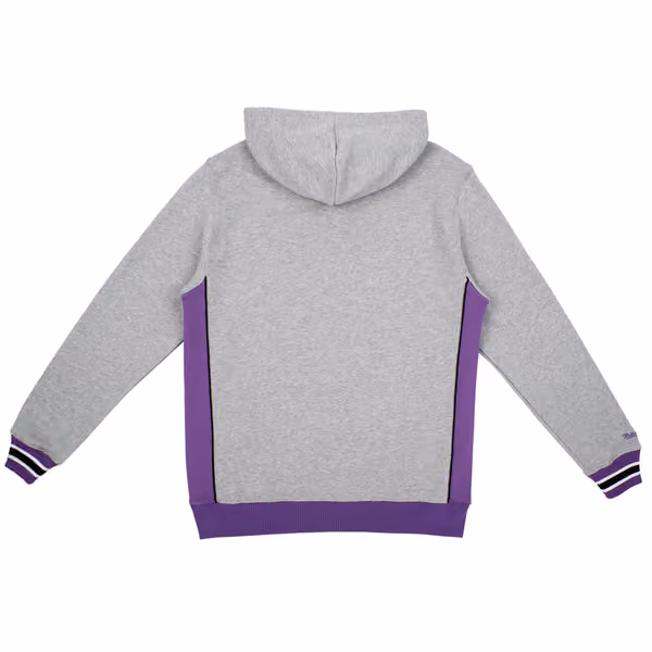 Toronto Raptors Pinnacle Mitchell & Ness NBA Heavyweight Fleece Hoodie Grey view 2