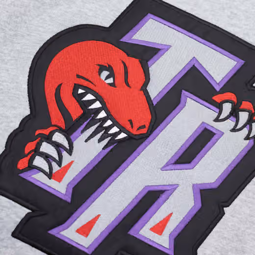 Toronto Raptors Pinnacle Mitchell & Ness NBA Heavyweight Fleece Hoodie Grey view 3