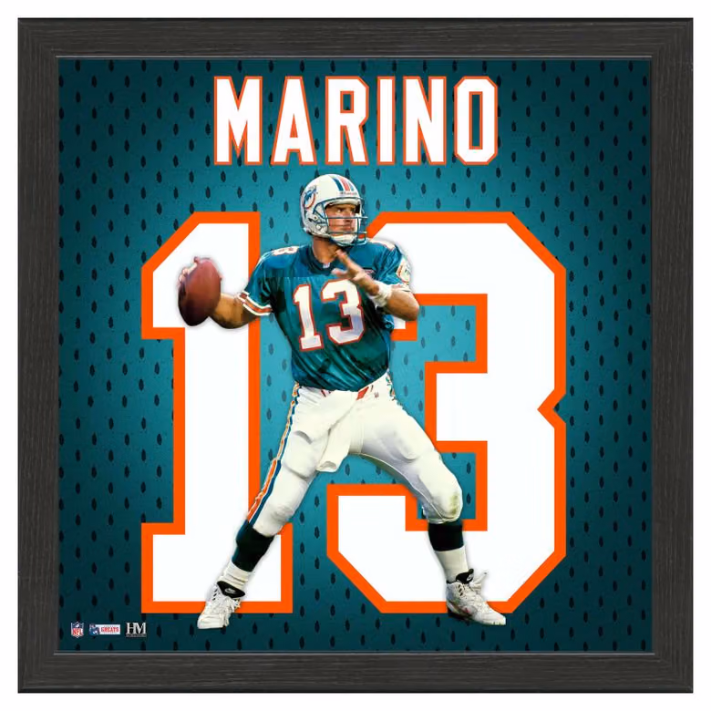 Dan Marino #13 Miami Dolphins Impact Jersey Framed NFL Photo view 1