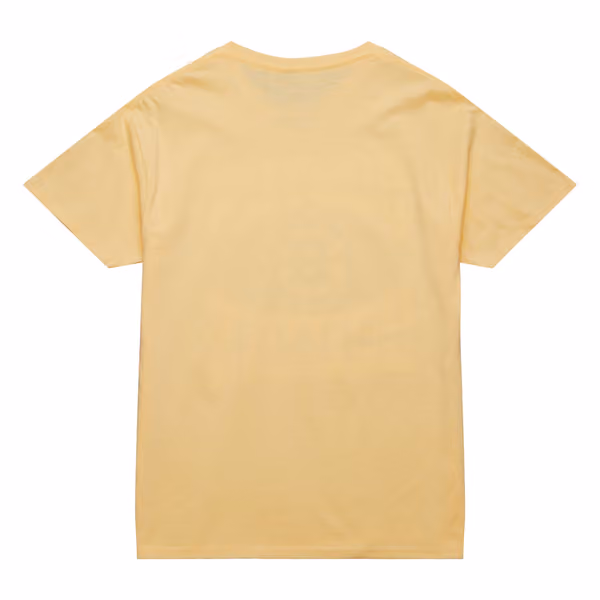 Boston Bruins Stateside Pastel Mitchell & Ness NHL T-Shirt Yellow view 2