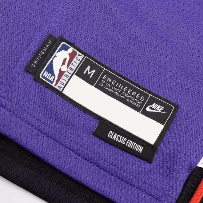RJ Barrett #9 Toronto Raptors Hardwood Classics Nike Swingman NBA Jersey (YOUTH) view 5