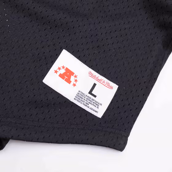 Oakland Raiders Unbeaten Mitchell & Ness NFL V-Neck Mesh Shirt Black view 4