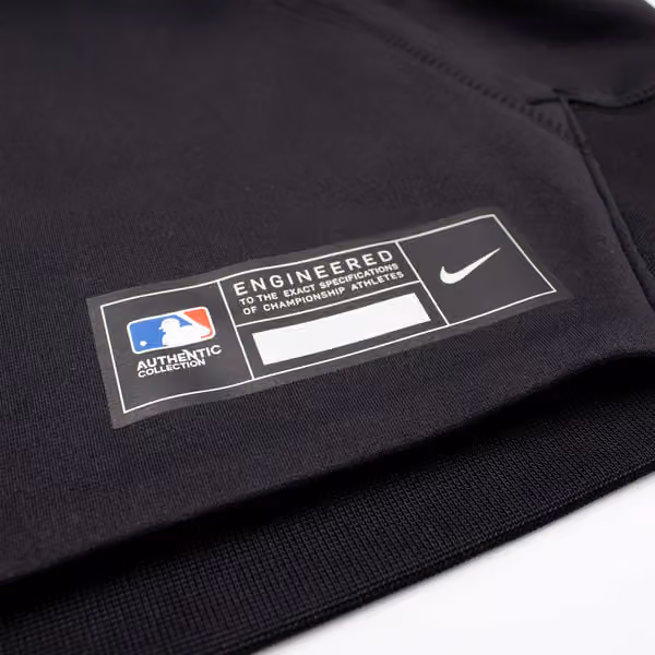 Tampa Bay Rays City Connect 2026 MLB Authentic Therma Hoodie Black view 5