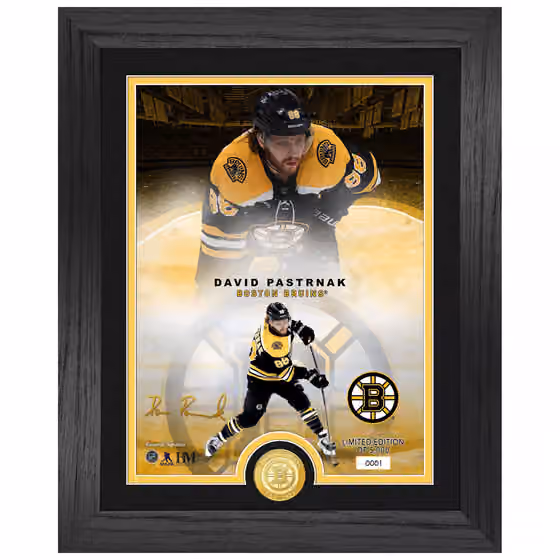 David Pastrnak Boston Bruins Bronze Coin Framed NHL Photo view 1