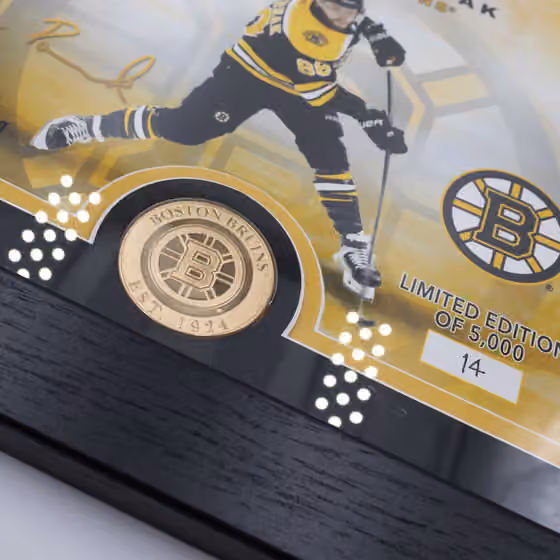 David Pastrnak Boston Bruins Bronze Coin Framed NHL Photo view 2
