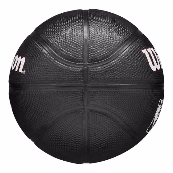 Miami Heat Tribute Wilson NBA Mini Basketball (Size 3) view 5