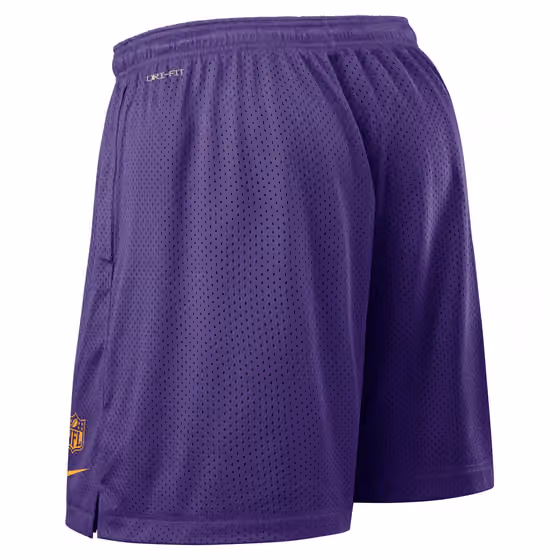 Minnesota Vikings 2025 NFL Sideline Reversible Mesh Nike Dri-FIT Shorts Purple view 3