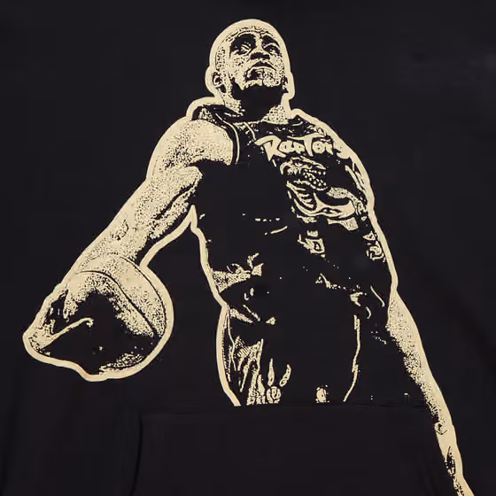 Vince Carter 2024 Hall of Fame Mitchell & Ness Premium NBA Hoodie view 4