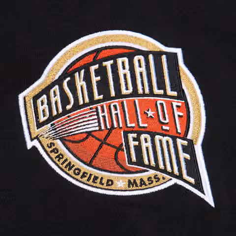 Vince Carter 2024 Hall of Fame Mitchell & Ness Premium NBA Hoodie view 3
