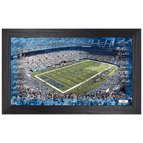 Carolina Panthers 2023/24 Signature Stadium Framed NFL Photo view 1