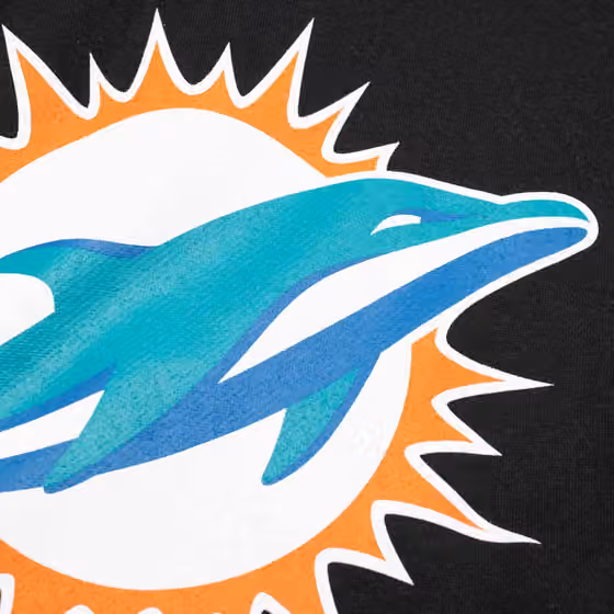 Miami Dolphins Primary Logo Hoodie Black view 3