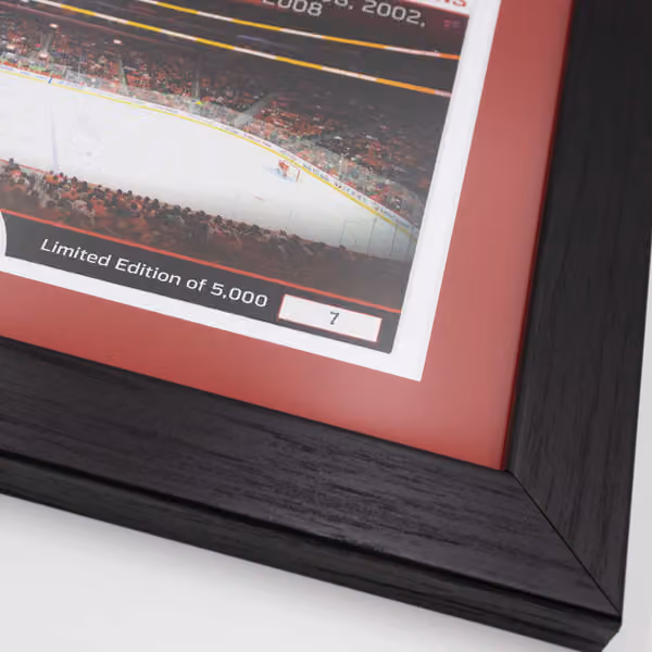 Detroit Red Wings 11-Time Stanley Cup Champions Bronze Coin Framed NHL Photo view 3