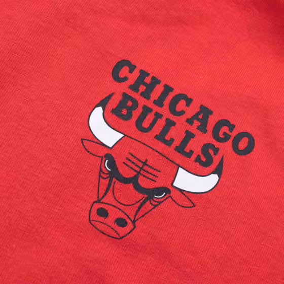 Chicago Bulls Paris Games New Era NBA Hoodie Red view 5