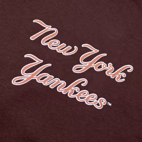 New York Yankees Backer '47 Burnside MLB Hoodie Cacao view 4