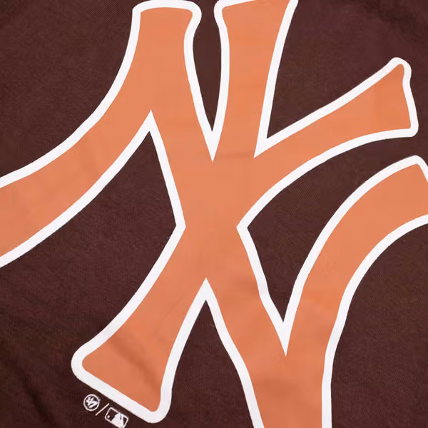 New York Yankees Backer '47 Burnside MLB Hoodie Cacao view 3