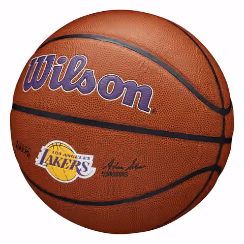 Los Angeles Lakers Wilson Team Alliance NBA Basketball (Size 7) view 4