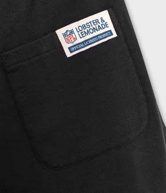 Las Vegas Raiders L&L '06 Classics NFL Sweatpants Black view 4