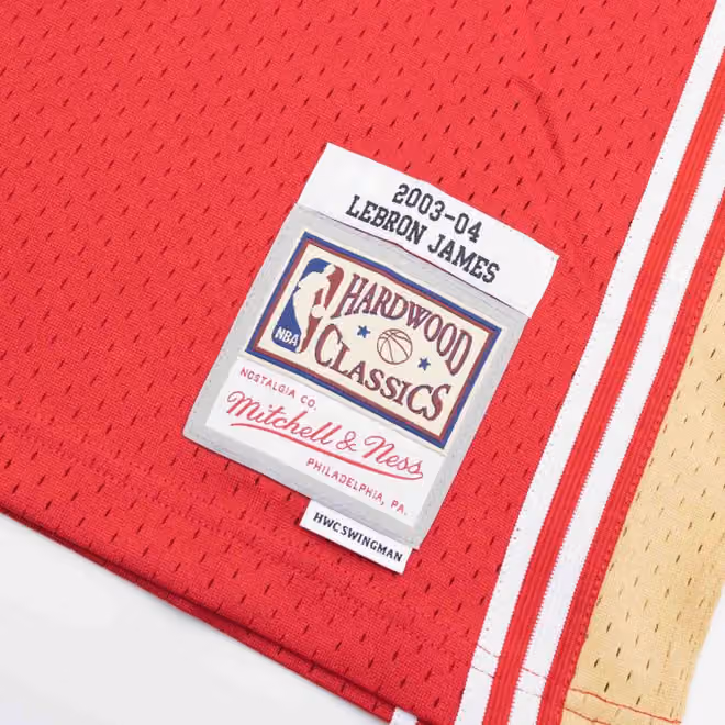 LeBron James #23 Cleveland Cavaliers 2003-04 Swingman NBA Jersey Red view 3