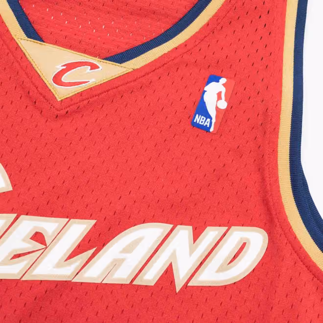LeBron James #23 Cleveland Cavaliers 2003-04 Swingman NBA Jersey Red view 5