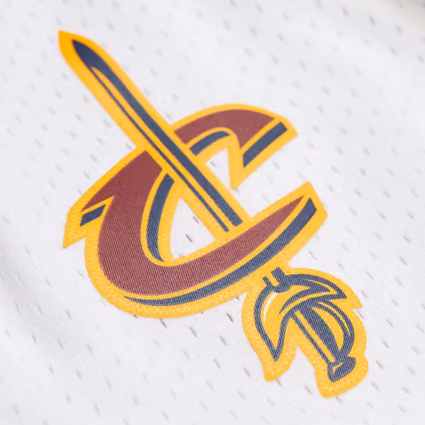 Cleveland Cavaliers 2015-16 Swingman NBA Shorts White view 3