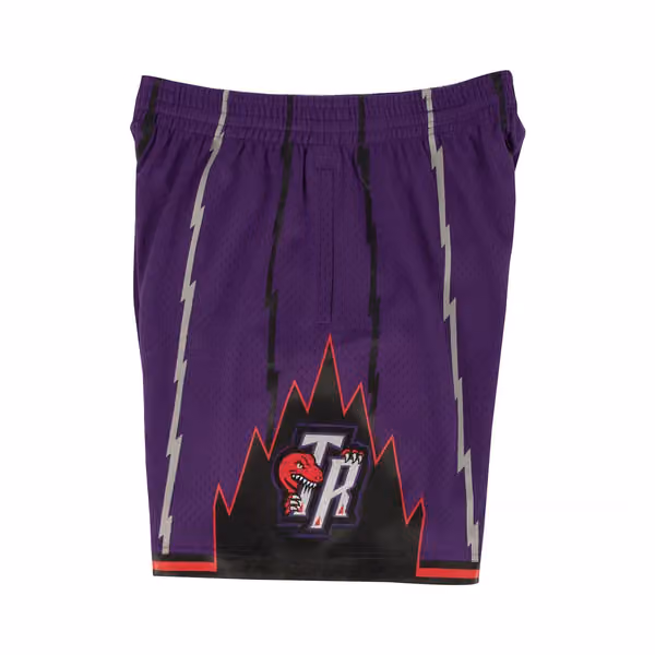 Toronto Raptors 1998-99 Mitchell & Ness Swingman NBA Shorts Purple view 3