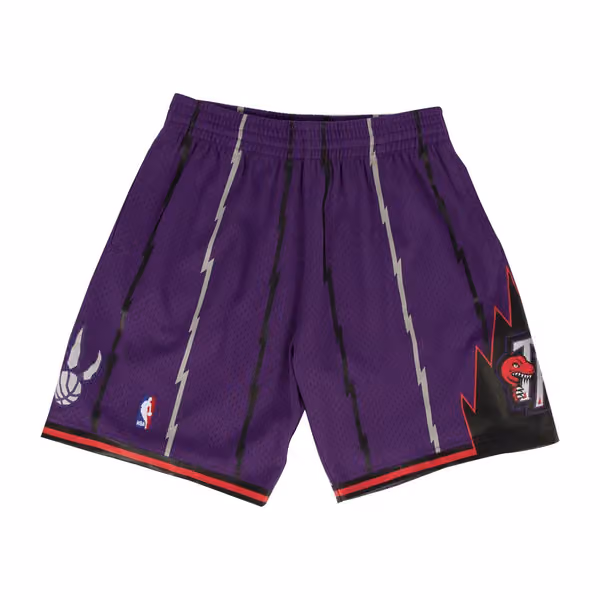 Toronto Raptors 1998-99 Mitchell & Ness Swingman NBA Shorts Purple view 1