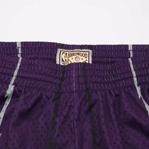 Toronto Raptors 1998-99 Mitchell & Ness Swingman NBA Shorts Purple view 4
