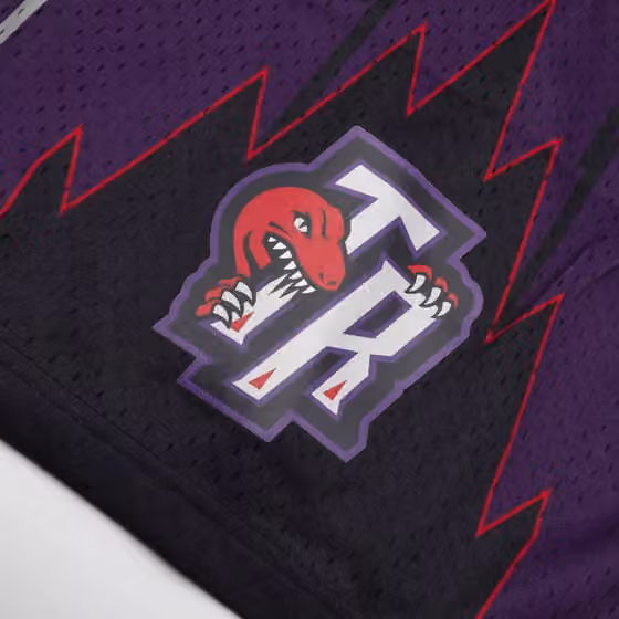Toronto Raptors 1998-99 Mitchell & Ness Swingman NBA Shorts Purple view 5