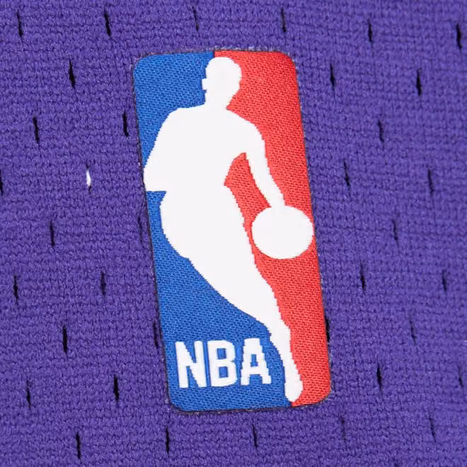 Mike Bibby #10 Sacramento Kings 2002-03 Mitchell & Ness Swingman NBA Jersey Purple view 5