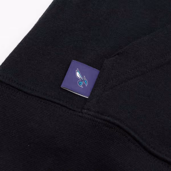 Charlotte Hornets NBA Courtside Jordan Club Hoodie Black (YOUTH) view 6
