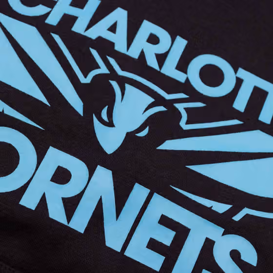 Charlotte Hornets NBA Courtside Jordan Club Hoodie Black (YOUTH) view 4