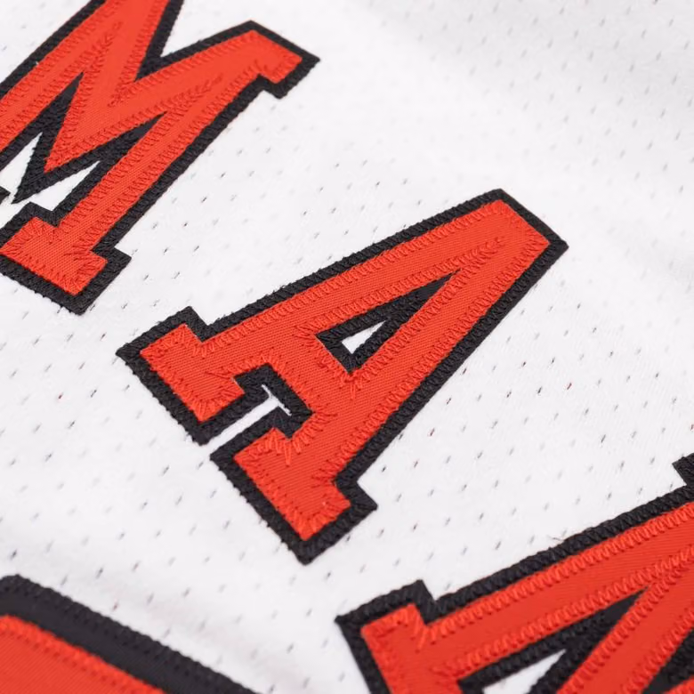 Dennis Rodman #91 Chicago Bulls 1997-98 Authentic NBA Jersey White view 4