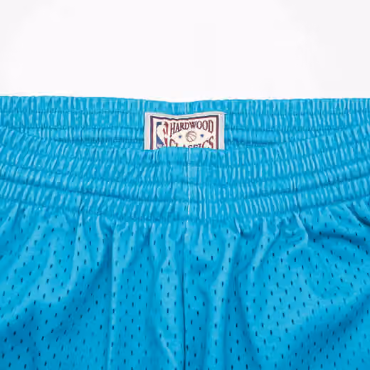 Charlotte Hornets 1999-00 Mitchell & Ness Swingman NBA Shorts view 6