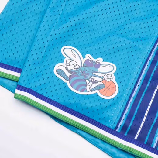 Charlotte Hornets 1999-00 Mitchell & Ness Swingman NBA Shorts view 5