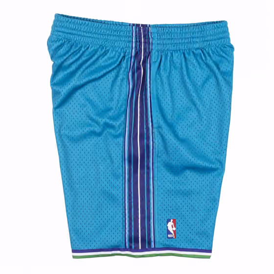 Charlotte Hornets 1999-00 Mitchell & Ness Swingman NBA Shorts view 4