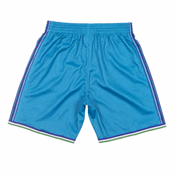 Charlotte Hornets 1999-00 Mitchell & Ness Swingman NBA Shorts view 2